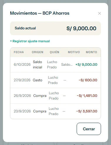Ventana de movimientos de una cuenta con el botón Registrar ajuste manual resaltado